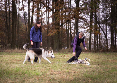 agility-klub-rokycany-coursing-1
